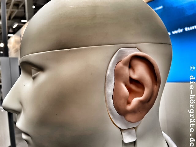 Kunstkopf mit Ohrsimulator, an dem Cerumen-Entfernung geübt wird