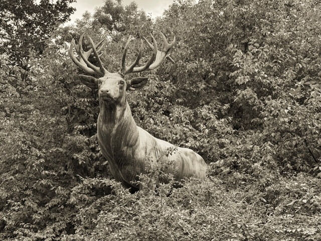 Illustration zu einem Artikel über Tierplastiken im Tierpark Berlin und über den gehörlosen Bildhauer Harry Christlieb auf die-hörgräte.de