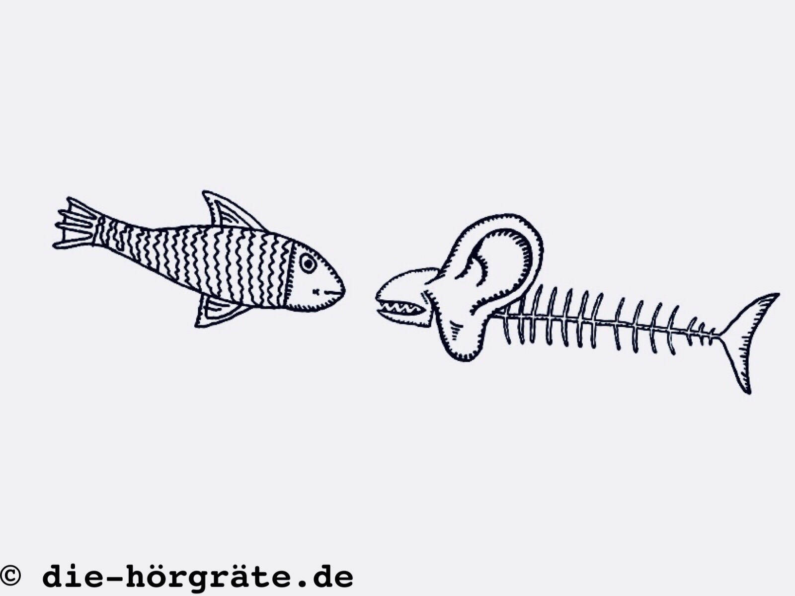 Zeichnungen von der Hörgräte und einem Fisch, sie sehen aus, als würden sie sich unterhalten